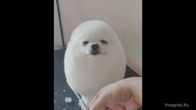 I call it the 