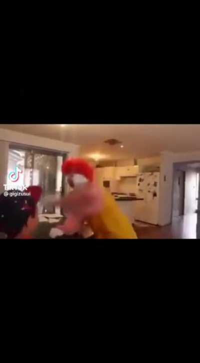 🤡🤡🤡🤡