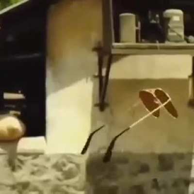Blursed_bollywood