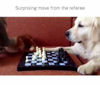 Close match!