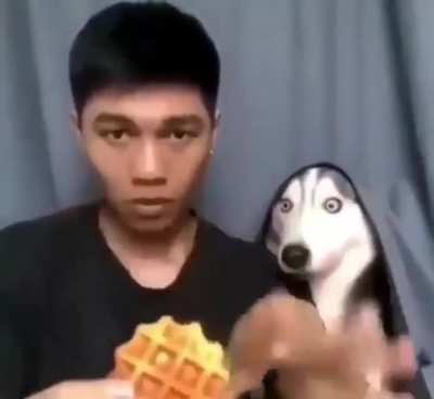 Waffle envy