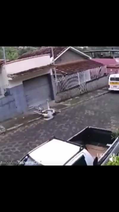 apenas dor
