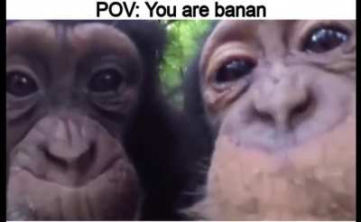 banans tasty