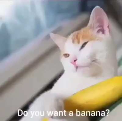 Banana man!