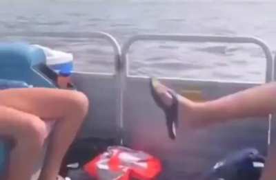 Fish needs a ride
