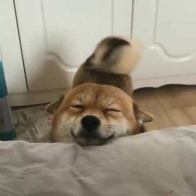 Woof irl