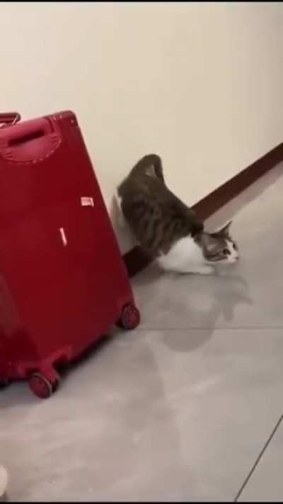 Неожиданно