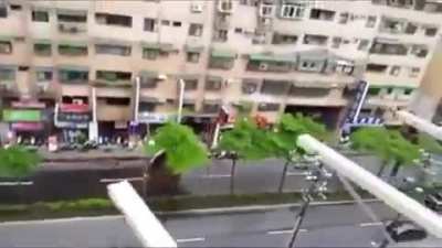 Balcony Fishing