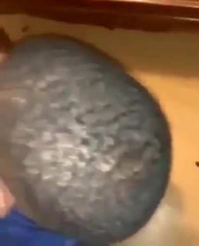 Damn I messed up , We gotta go bald.