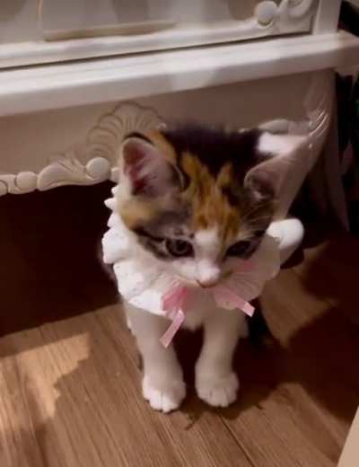 Wanted By Authorities: Princess Smolington of Tinyshire