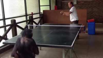 Monke play new sport: Ping Monk