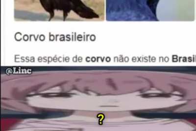 Mas, pera?