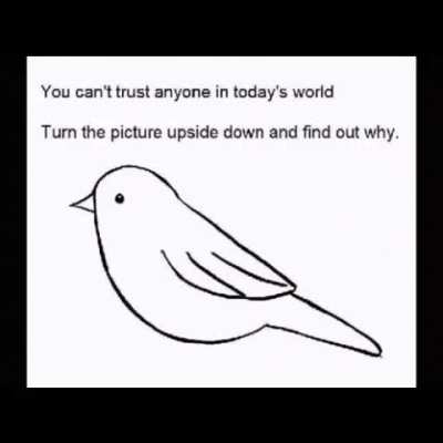 Turn it upsidedown to find it out