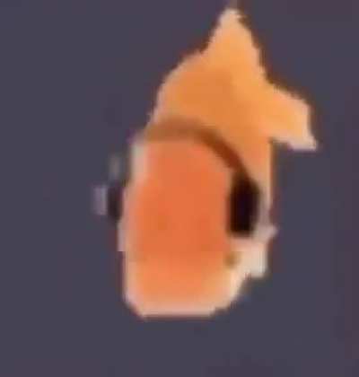 fishe be gamin