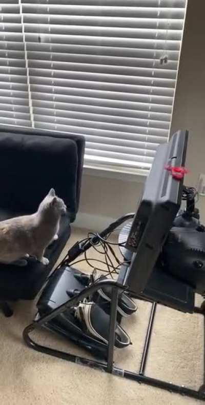 Successful catculation