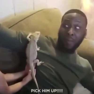 Pick him up