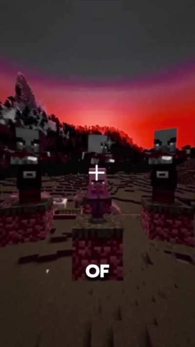 pillager rule