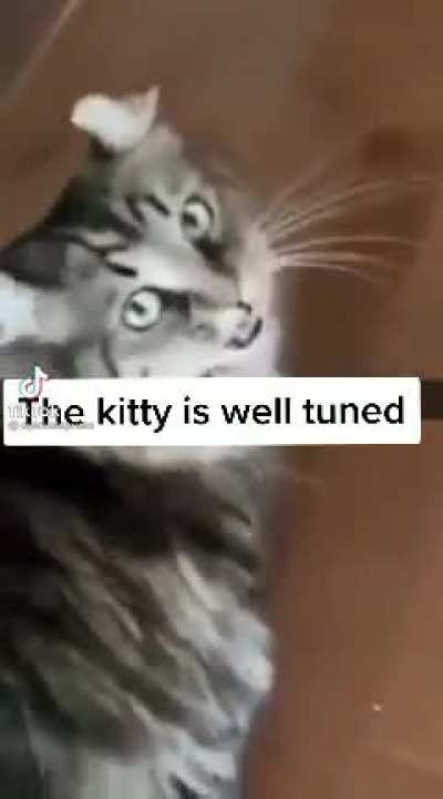 In the tuna high C