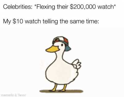 Celebrities dumb