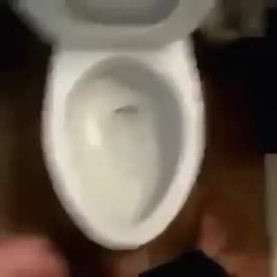 Dropped....