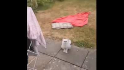 “Blink, motherfucka!”