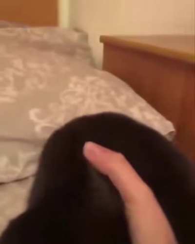 😭