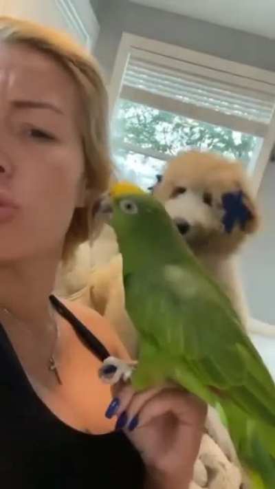 Jealous pup