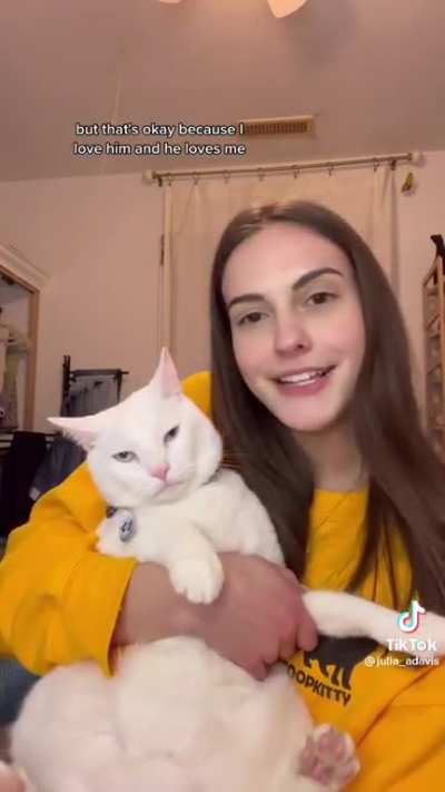 How a cat owner got their cat