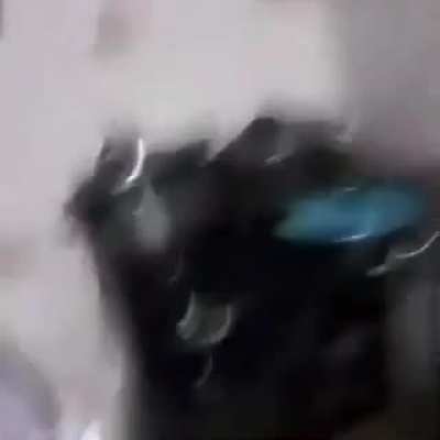 Barata