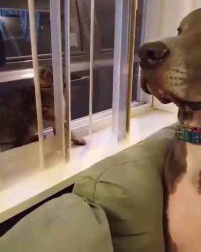 It touched me!