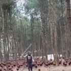 CHAAAAARGE