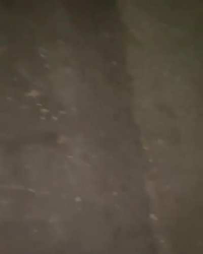 audrakinkead - Video #5955