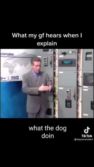 🐕🐕🐕