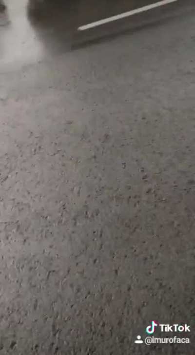 Bonk
