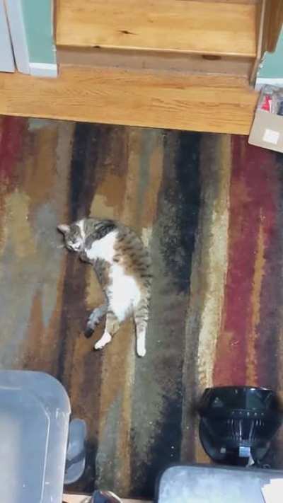 Roll over