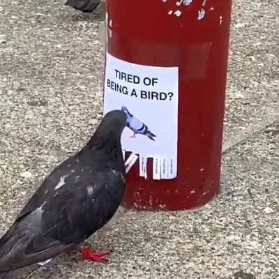 They've had enough