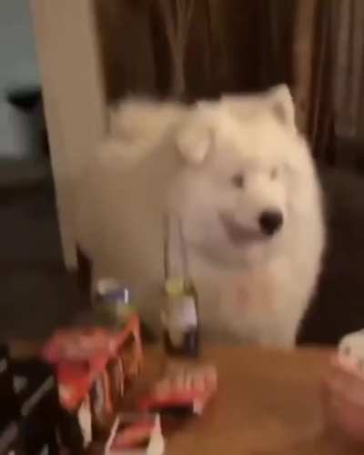 woof_irl