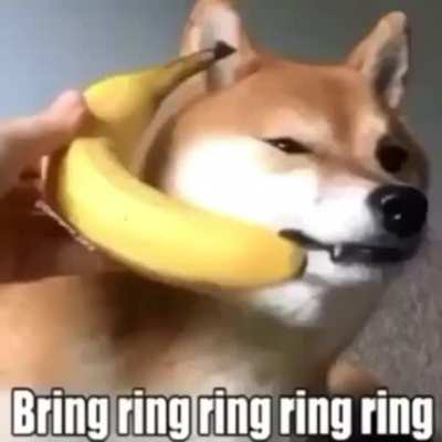 Banana phone 🎵