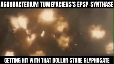 Yet another win for A. tumefaciens.