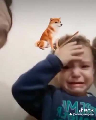 Dog mal