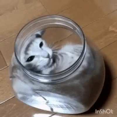 A bed made of glass