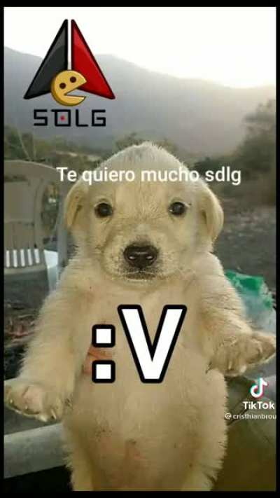 papu :b
