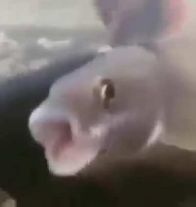 Hmmm