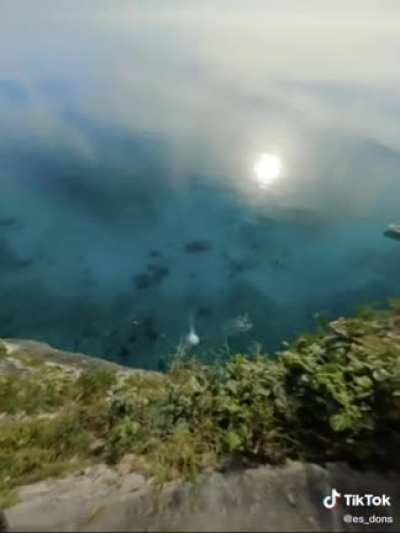 This guy threw his camera of a cliff for the shot
