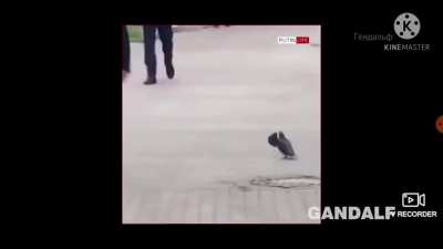 Enquanto na russia..(alerta som auto!)