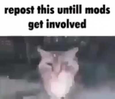 Titel