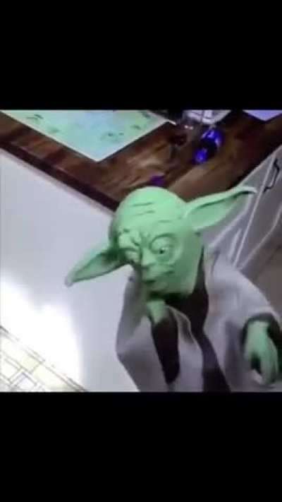 tapão