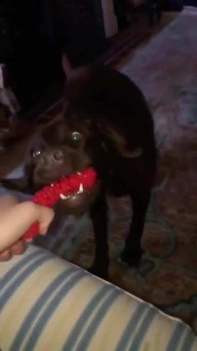 woof_irl