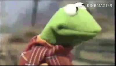 Is Kermit alright?