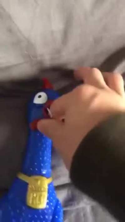 Cute Chicken